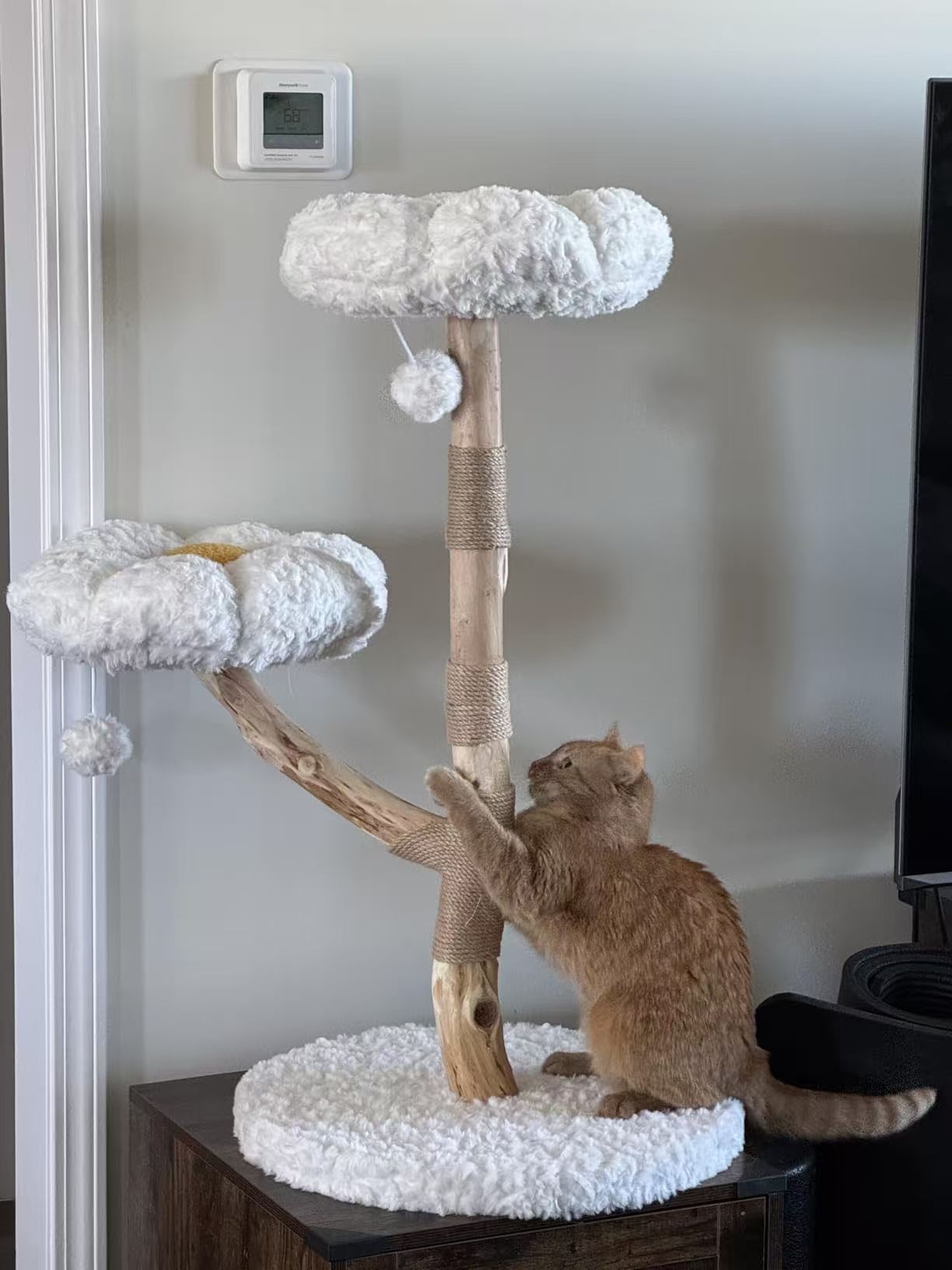 LOOP キャットタワー