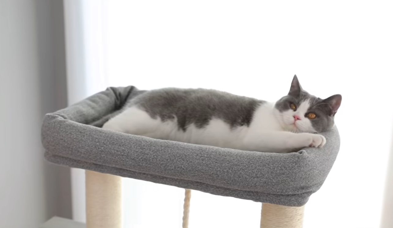 HACO キャットタワー